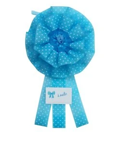 Fiocco Nascita Bimbo