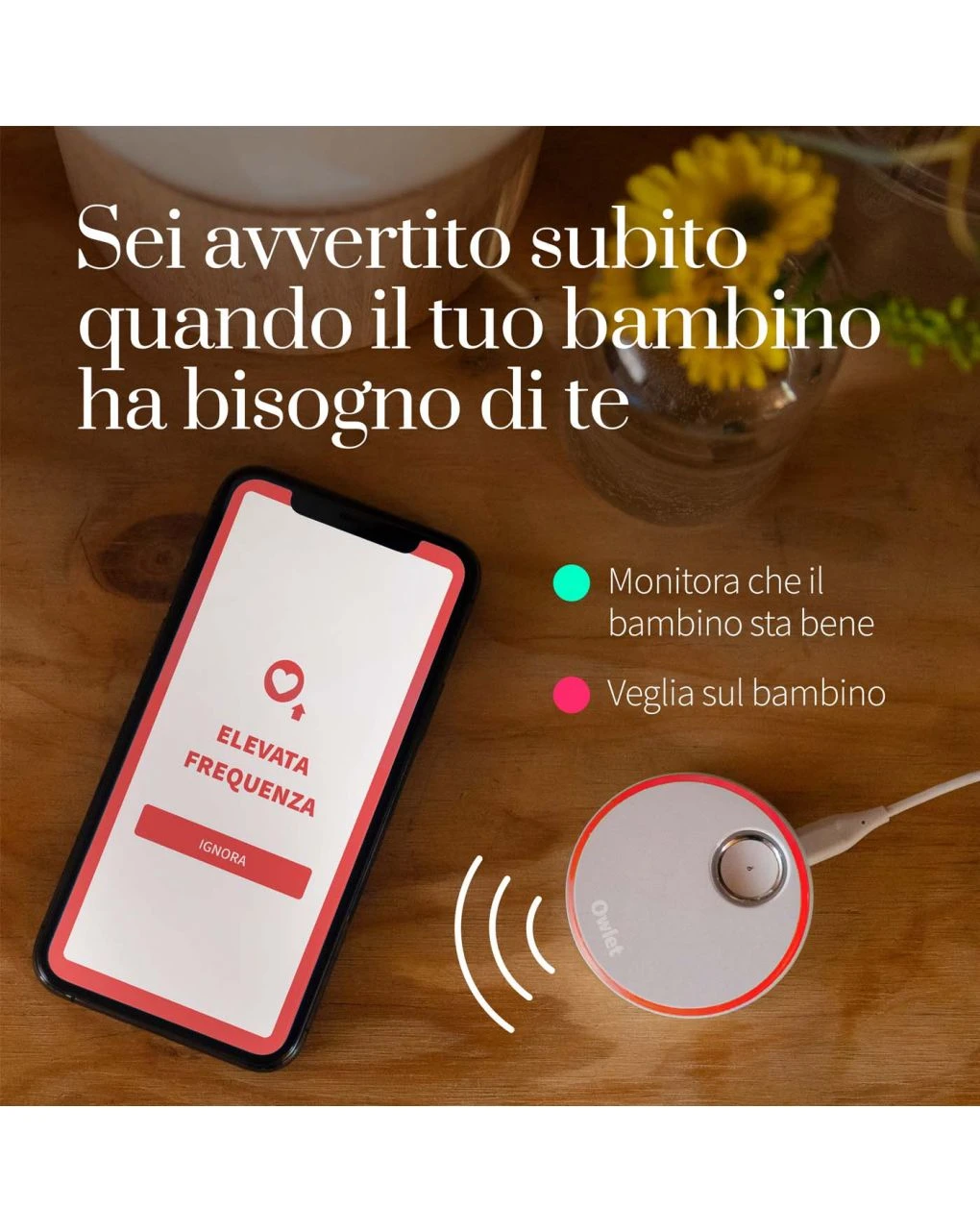 Smart Sock 3 Verde Mare - Owlet 3 Smart Sock 3 Verde Mare - Owlet - immagine 3