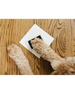 Cornice Per Foto E Impronte Bimbo + Pet - Pearhead -Prenatal Shop d51f0ae4 xz 1351205 4